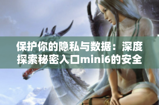 保護(hù)你的隱私與數(shù)據(jù)：深度探索秘密入口mini6的安全特性