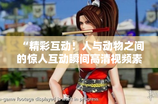 “精彩互動！人與動物之間的驚人互動瞬間高清視頻素材免費(fèi)下載”