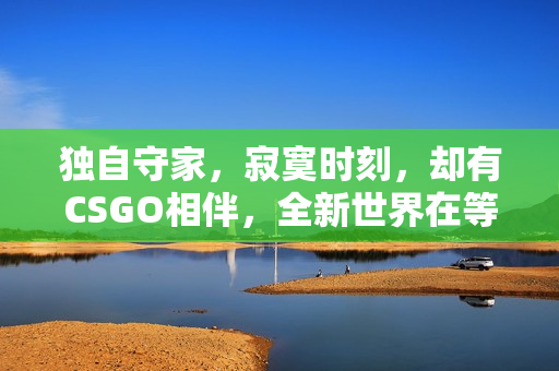 獨(dú)自守家，寂寞時(shí)刻，卻有CSGO相伴，全新世界在等待著。