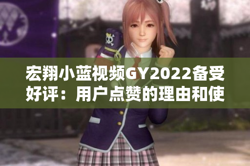 宏翔小藍(lán)視頻GY2022備受好評：用戶點(diǎn)贊的理由和使用體驗深度解析