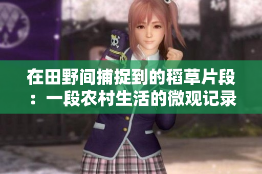 在田野間捕捉到的稻草片段：一段農(nóng)村生活的微觀記錄
