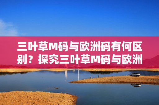 三葉草M碼與歐洲碼有何區(qū)別？探究三葉草M碼與歐洲碼的差異