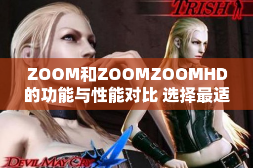 ZOOM和ZOOMZOOMHD的功能與性能對比 選擇最適合你的視頻會議平臺
