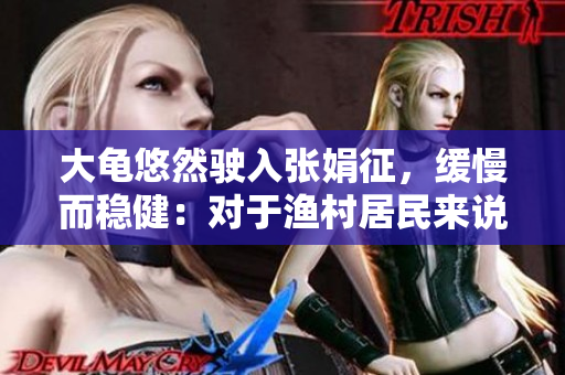 大龜悠然駛入張娟征，緩慢而穩(wěn)健：對于漁村居民來說，這是一個故事，一個希望的開始。
