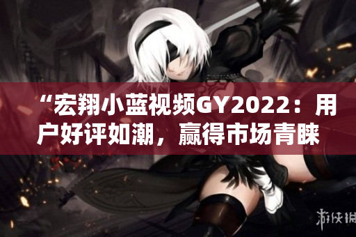 “宏翔小藍(lán)視頻GY2022：用戶好評(píng)如潮，贏得市場(chǎng)青睞”