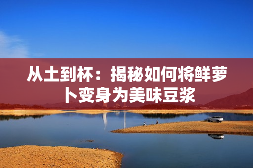 從土到杯：揭秘如何將鮮蘿卜變身為美味豆?jié){
