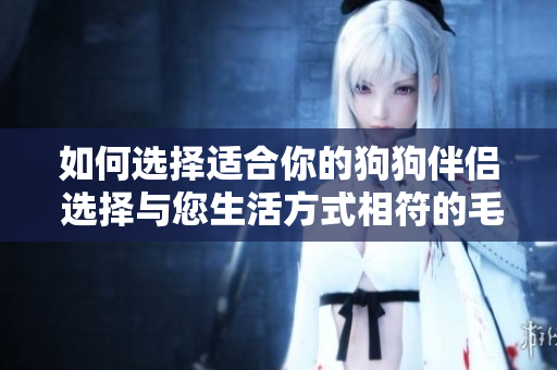 如何選擇適合你的狗狗伴侶 選擇與您生活方式相符的毛茸伙伴