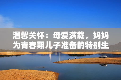 溫馨關懷：母愛滿載，媽媽為青春期兒子準備的特別生日禮物