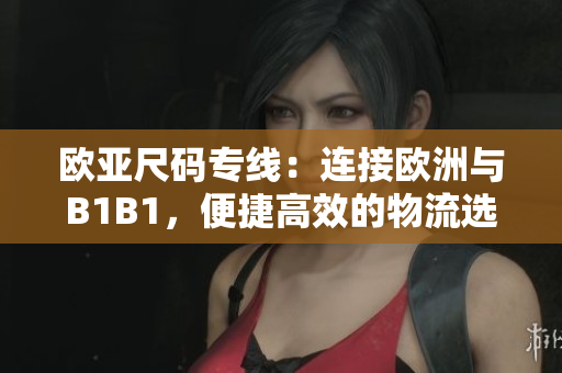 歐亞尺碼專線：連接歐洲與B1B1，便捷高效的物流選擇