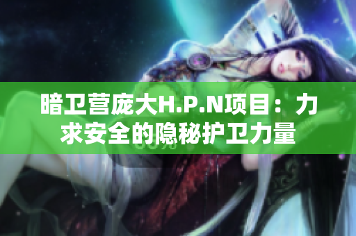 暗衛(wèi)營(yíng)龐大H.P.N項(xiàng)目：力求安全的隱秘護(hù)衛(wèi)力量