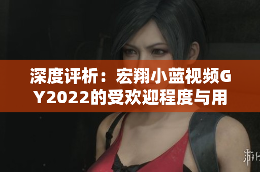 深度評(píng)析：宏翔小藍(lán)視頻GY2022的受歡迎程度與用戶反饋
