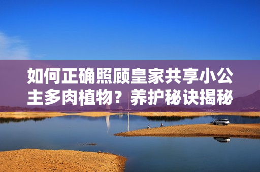 如何正確照顧皇家共享小公主多肉植物？養(yǎng)護(hù)秘訣揭秘