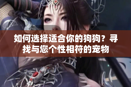 如何選擇適合你的狗狗？尋找與您個(gè)性相符的寵物