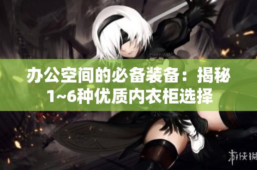 辦公空間的必備裝備：揭秘1~6種優(yōu)質(zhì)內(nèi)衣柜選擇