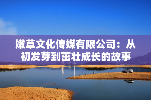 嫩草文化傳媒有限公司：從初發(fā)芽到茁壯成長的故事