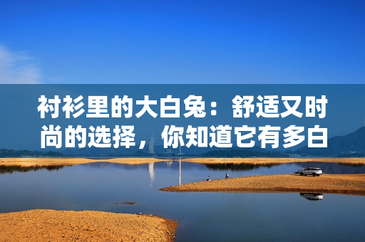 襯衫里的大白兔：舒適又時(shí)尚的選擇，你知道它有多白嗎？