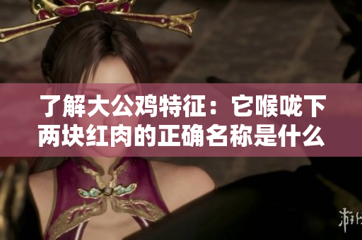 了解大公雞特征:它喉嚨下兩塊紅肉的正確名稱是什么? 了解大公雞特征:它喉嚨下兩塊紅肉的正確名稱是什么?