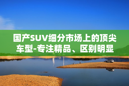 國產(chǎn)SUV細分市場上的頂尖車型-專注精品、區(qū)別明顯