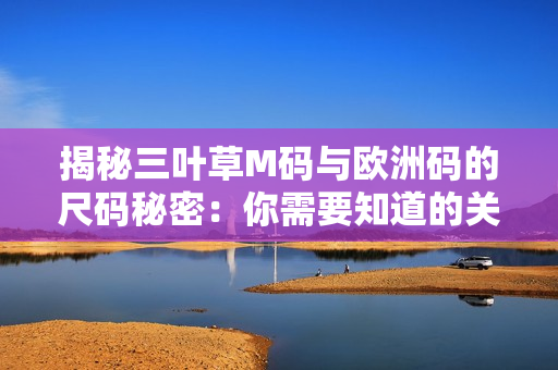 揭秘三葉草M碼與歐洲碼的尺碼秘密：你需要知道的關(guān)鍵差異