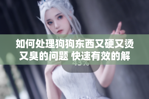 如何處理狗狗東西又硬又燙又臭的問題 快速有效的解決方法