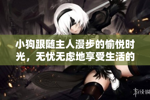 小狗跟隨主人漫步的愉悅時光，無憂無慮地享受生活的視頻