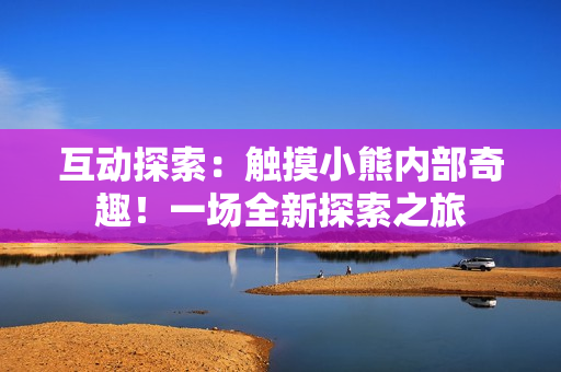 互動(dòng)探索：觸摸小熊內(nèi)部奇趣！一場(chǎng)全新探索之旅
