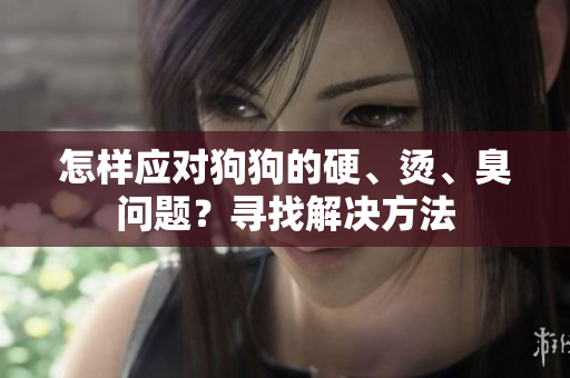 怎樣應(yīng)對狗狗的硬、燙、臭問題？尋找解決方法