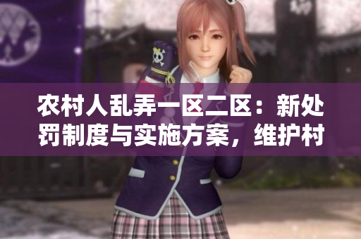 農(nóng)村人亂弄一區(qū)二區(qū)：新處罰制度與實(shí)施方案，維護(hù)村莊秩序！
