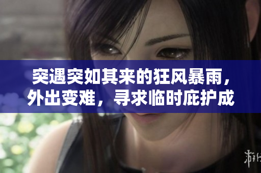突遇突如其來的狂風(fēng)暴雨，外出變難，尋求臨時(shí)庇護(hù)成為唯一選擇
