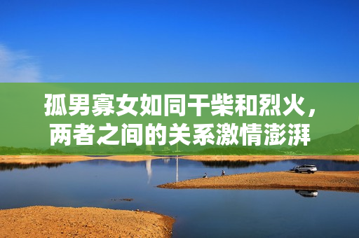 孤男寡女如同干柴和烈火，兩者之間的關(guān)系激情澎湃