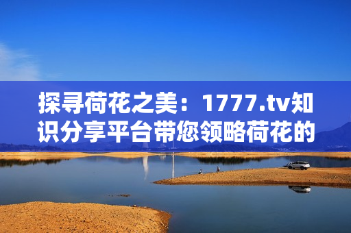 探尋荷花之美：1777.tv知識(shí)分享平臺(tái)帶您領(lǐng)略荷花的魅力