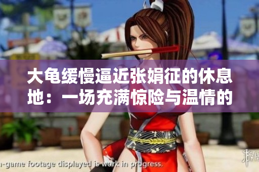 大龜緩慢逼近張娟征的休息地：一場充滿驚險與溫情的相遇