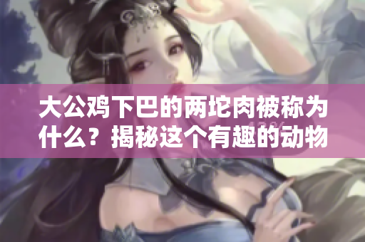 大公雞下巴的兩坨肉被稱為什么？揭秘這個(gè)有趣的動物學(xué)現(xiàn)象