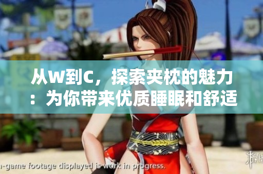 從W到C，探索夾枕的魅力：為你帶來優(yōu)質(zhì)睡眠和舒適體驗