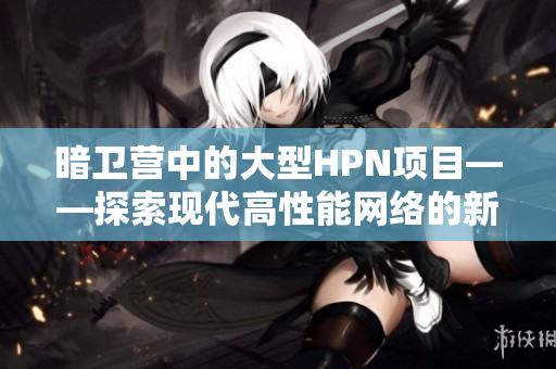 暗衛(wèi)營(yíng)中的大型HPN項(xiàng)目——探索現(xiàn)代高性能網(wǎng)絡(luò)的新前沿