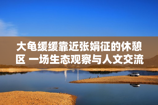 大龜緩緩靠近張娟征的休憩區(qū) 一場生態(tài)觀察與人文交流