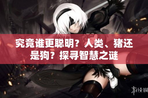 究竟誰更聰明？人類、豬還是狗？探尋智慧之謎