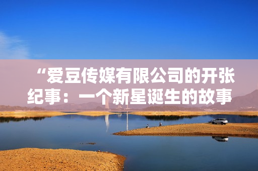 “愛(ài)豆傳媒有限公司的開(kāi)張紀(jì)事：一個(gè)新星誕生的故事”