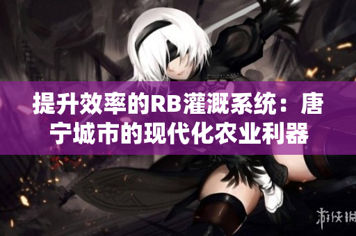 提升效率的RB灌溉系統(tǒng)：唐寧城市的現(xiàn)代化農(nóng)業(yè)利器