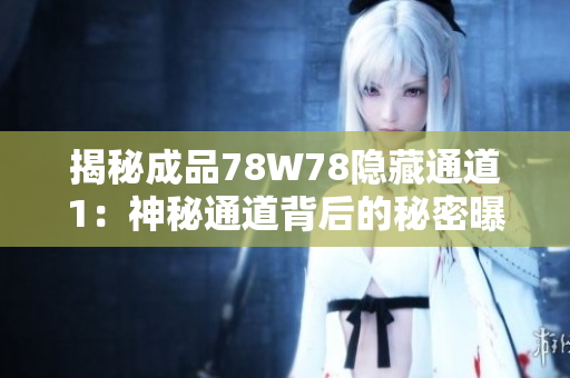 揭秘成品78W78隱藏通道1：神秘通道背后的秘密曝光