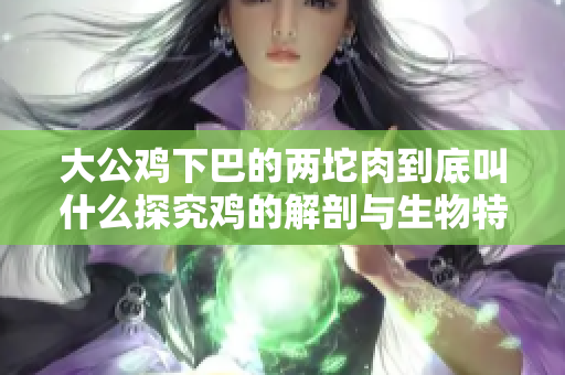 大公雞下巴的兩坨肉到底叫什么探究雞的解剖與生物特征