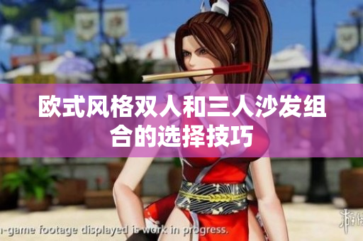 歐式風(fēng)格雙人和三人沙發(fā)組合的選擇技巧