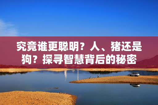 究竟誰更聰明？人、豬還是狗？探尋智慧背后的秘密