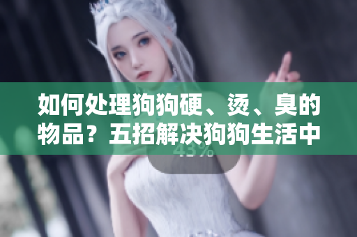 如何處理狗狗硬、燙、臭的物品？五招解決狗狗生活中的挑戰(zhàn)