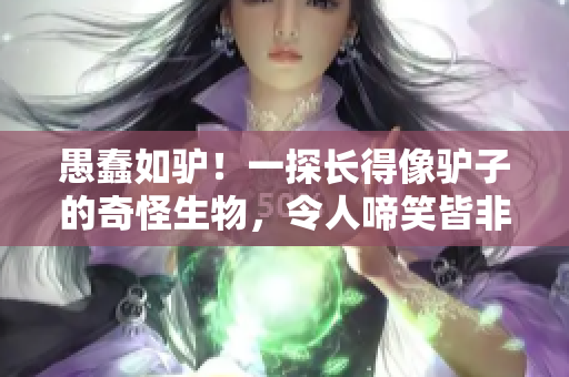 愚蠢如驢！一探長(zhǎng)得像驢子的奇怪生物，令人啼笑皆非的故事揭秘