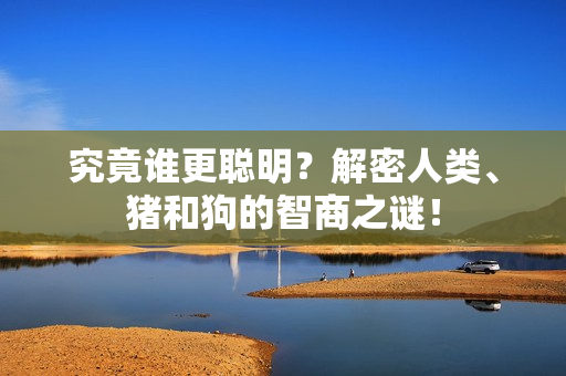 究竟誰(shuí)更聰明？解密人類、豬和狗的智商之謎！