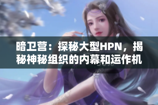 暗衛(wèi)營(yíng)：探秘大型HPN，揭秘神秘組織的內(nèi)幕和運(yùn)作機(jī)制