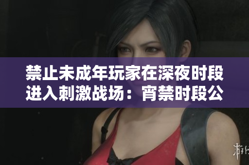 禁止未成年玩家在深夜時段進入刺激戰(zhàn)場：宵禁時段公告