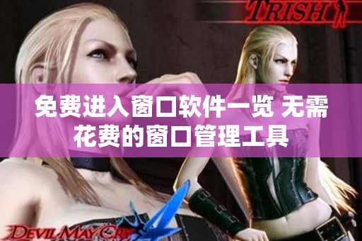 免費進(jìn)入窗口軟件一覽 無需花費的窗口管理工具