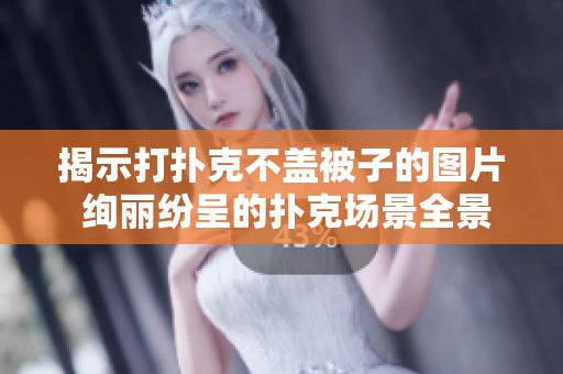 揭示打撲克不蓋被子的圖片 絢麗紛呈的撲克場(chǎng)景全景展示!